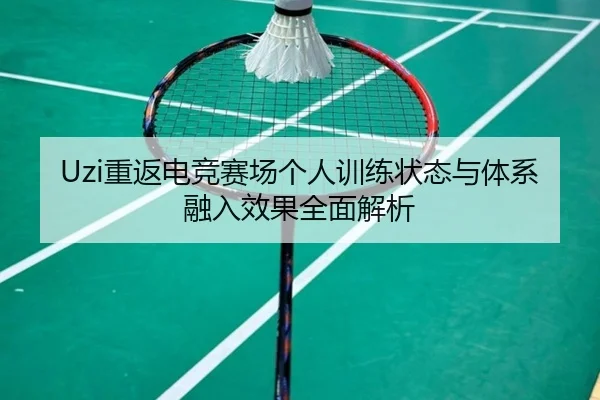 Uzi重返电竞赛场个人训练状态与体系融入效果全面解析